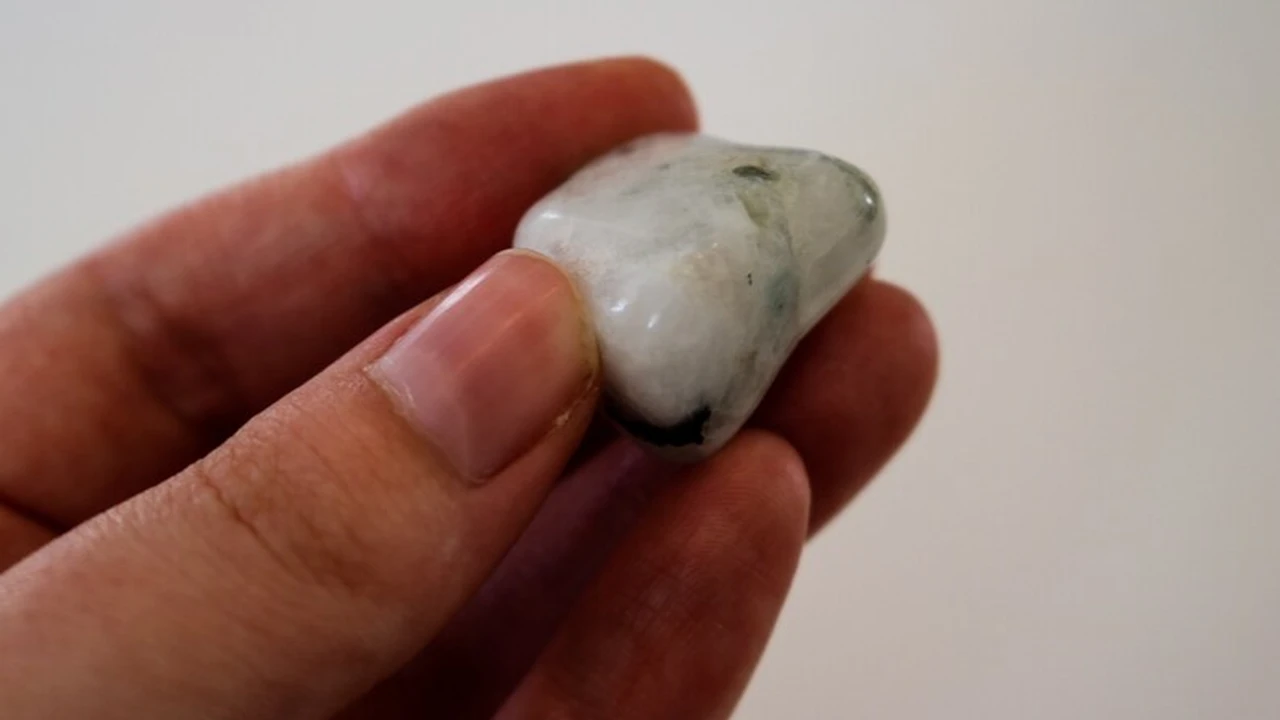 pork chops with cream sauce